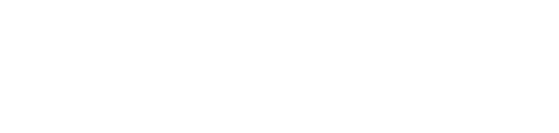 SolidBirds